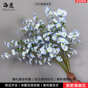 �¿���溣�Ļ��{ɫϵ��c�����b��ٻ����Ż��L���m��Y�õ���