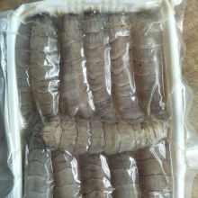 2�����]��r����|���r��ƤƤ�r�r��������r��