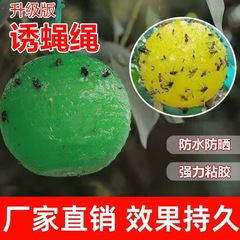诱蝇球粘诱虫球粘虫球飞虫球果食杀虫诱蝇球果实蝇果树防虫诱蝇球