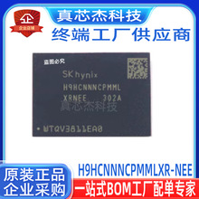 H9HCNNNCPMMLXR-NEEȫ�� ����ʿ4GB 4622Mhz LPDDR4X FBGA200