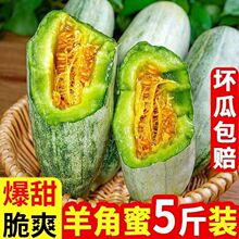 【一件代发】山东羊角蜜甜瓜新鲜水果当季脆甜蜜瓜香瓜 鲜果代发