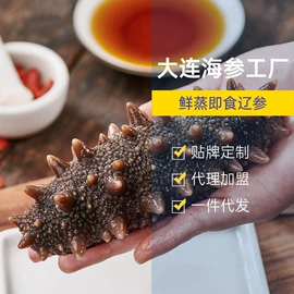 海参;其他水产加工