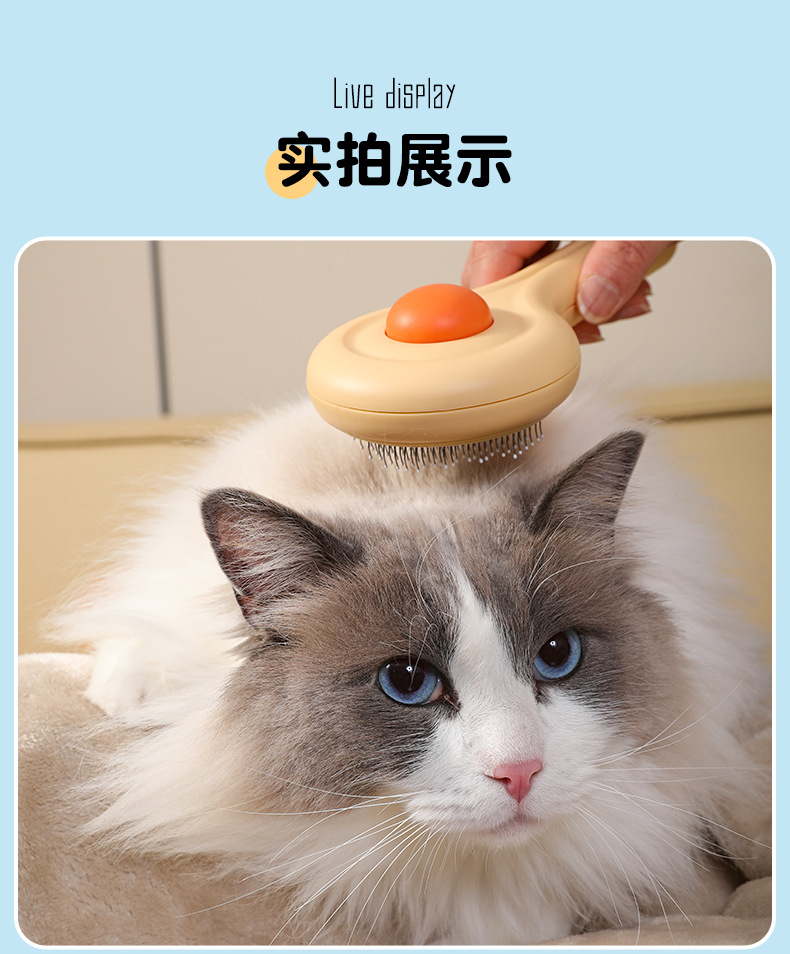 베이지
