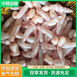 鱼类;鲜/活禽类