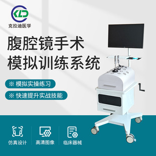 Factory Direct Delivery of Abdominal Surgery Simulation Equipment, Medical Student Teaching Practice Simulation Equipment, Customized Simulation Human Body