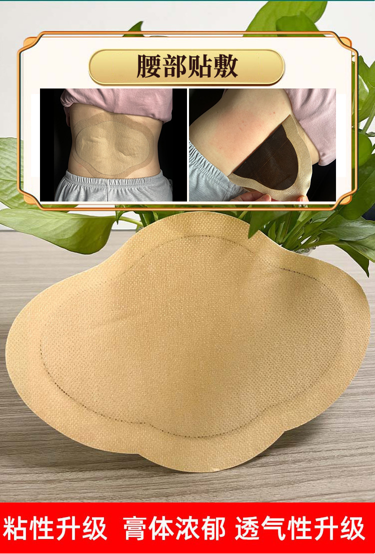 Lumbar Herbal Patch 17x25cm External Topical Paste for Waist Comfort Traditional Chinese Herbal Formula quality and texture