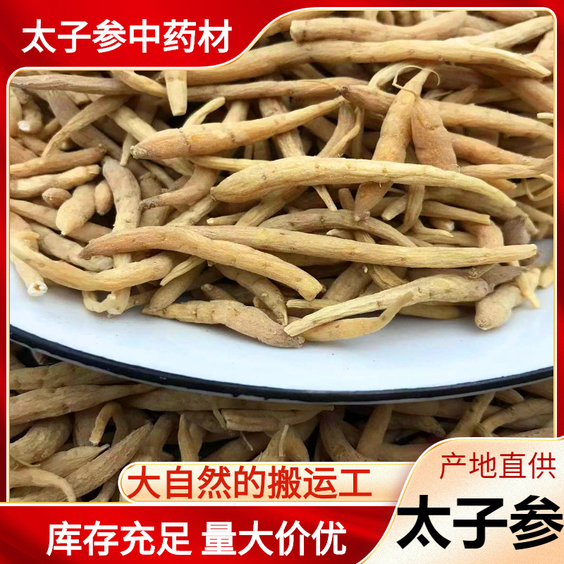 贵州新货无硫原料太子参中药材太子参孩儿参柘荣太子参粉批发零售