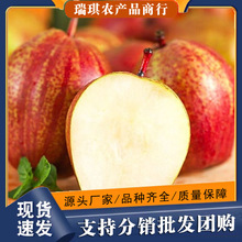 ����ʺ���10������ˮ�������tƤ�������������5�������l�Ї�