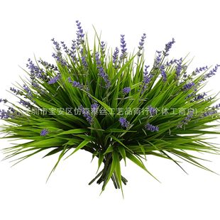 �羳޹�²�7�洺���L���   ����ֲ������ٲ����ϸ���ֲ���b�