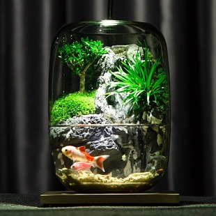 Shuiyunyao Flowing Water Fish Tank Real Plant Moss Micro Landscape Ecological Bottle Creative Office Finished Product Indoor Gift