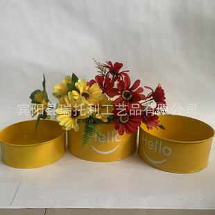 Customized European and American Round Galvanized Iron Stickers Flower Pots for Planting Succulents Home Hotel Decoration Iron Buckets