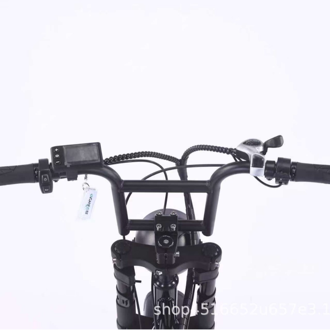 Snow Beach Electric bikes48v fat tire 7 Gear Change Adult Cross - Country Cross - Border mountain bike