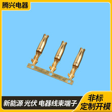 �S��ֱ�N������^���ӻ�ƿ�������~����β�~��ɏ�����ӽӾ�����