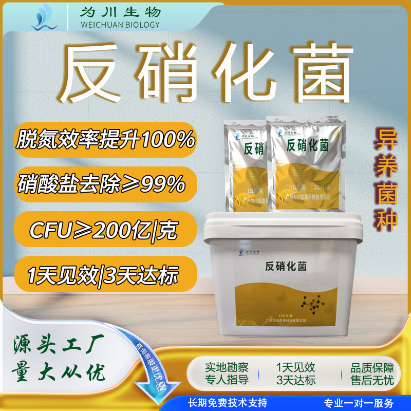 污水处理菌种反硝化细菌脱氮降总氮降硝酸盐降COD复合微生物菌剂