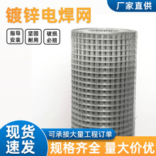 铁丝网围栏内外墙抹灰保温挂网钢丝网抹灰网热镀锌建筑外墙电焊网