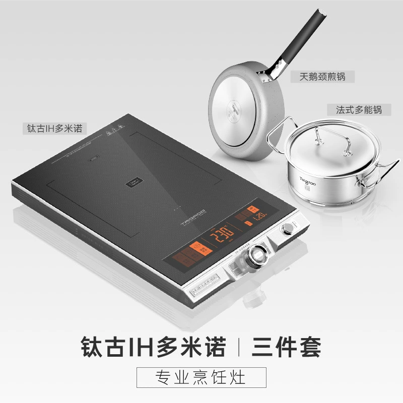 【Новинка года】Taigroo/TiGo IH Domino Home Professional Western Kitchen Индукционная плита с большой скоростью и контролем температуры