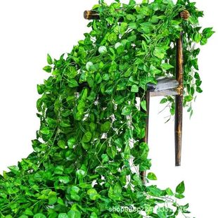 Simulated 72-Leaf Artificial Flower Vine Plant Leaves Green Leaves Water Pipe Ceiling Decoration Plastic Pothos Leaves
