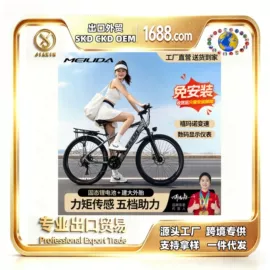 电动自行车