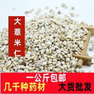 ��޲����һ����޲������ș����؛�F���F��޲�������ʴ���ɢ�b޲��