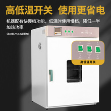 電熱恆溫鼓風干燥箱實驗室老化試驗箱烤箱高溫烘箱小型工業烘干機