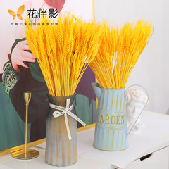 花伴影大麥乾花天然麥穗乾花黃金大麥開業鮮花包裝乾花束金色大麥