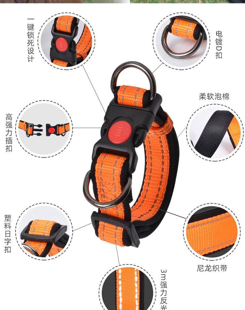 狗绳_02.jpg