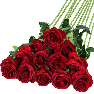 ����õ�廨��֧�����ٻ����컨 ��c�ҾӶY���b���Сõ�����l