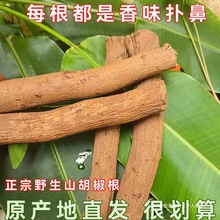 ��ϵº�aҰ��ɽ����������ľ���Ӹ�ǧ�������ζ��Ұ�����]