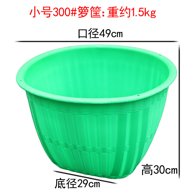 プラスチックのトランクは竹が食糧を編むのを防ぎます。|undefined