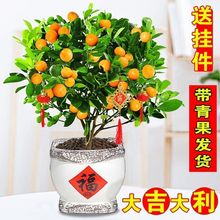 �ļ��������ͥԺ���B���Ә��^�p�辰�̨�����l؛ϲ�c���Ә���l