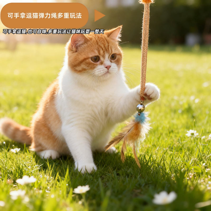 猫咪玩具弹力网逗猫棒宠物玩具羽毛铃铛发声自嗨解闷耐咬猫玩具|undefined