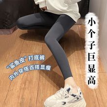 【同款】2024新款鲨鱼瑜伽裤女收腹提臀高腰瘦腿打底裤