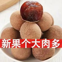 【活动】桂圆干肉厚新货干货特产批发贸易5斤10斤批大整箱包邮1斤