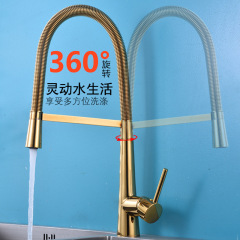 Cross-border golden spring kitchen faucet cold and hot pull-out type universal rotating vegetable washing basin sink water faucet
