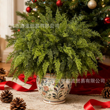 �羳7���5����~ ���滨ֲ�����֦�}�Q�b� �Ʒ�����ˇ���l