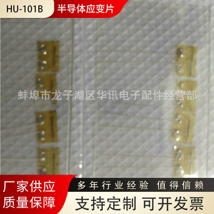 Non-standard Dynamic Semiconductor Strain Gauge, Dynamic Semiconductor Strainer Gauge with Base Semiconductor Strainer