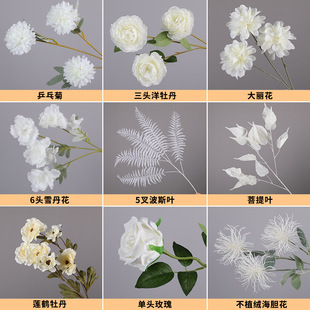 ��ɫ�����c�������l�b�ˇ��Ʒ�������컨�廨�ٻ����Ϻ����m