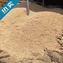 *ľм���l�ĩ���b�ĩ������ͳ���|�Ͻ�ϴ�����ɳ���l�ʹ�