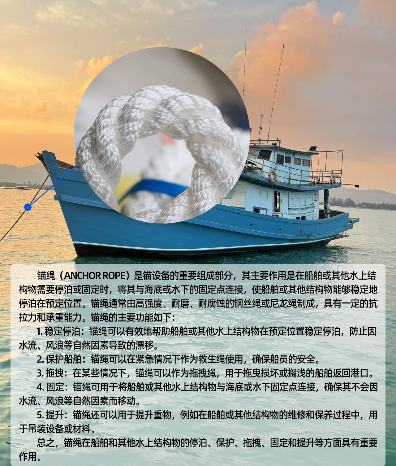 微信图片_20250115091554