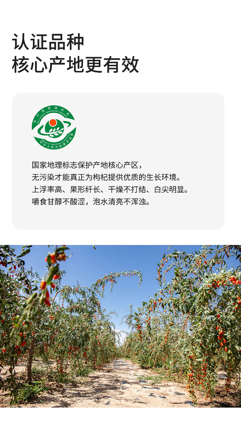 Red Goji Berries Gouqizi Ningxia Zhongning Dried Herbal Tea 400g Jar in use