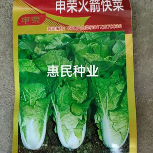 苗菜種子圖片- 海量高清苗菜種子圖片大全- 阿里巴巴