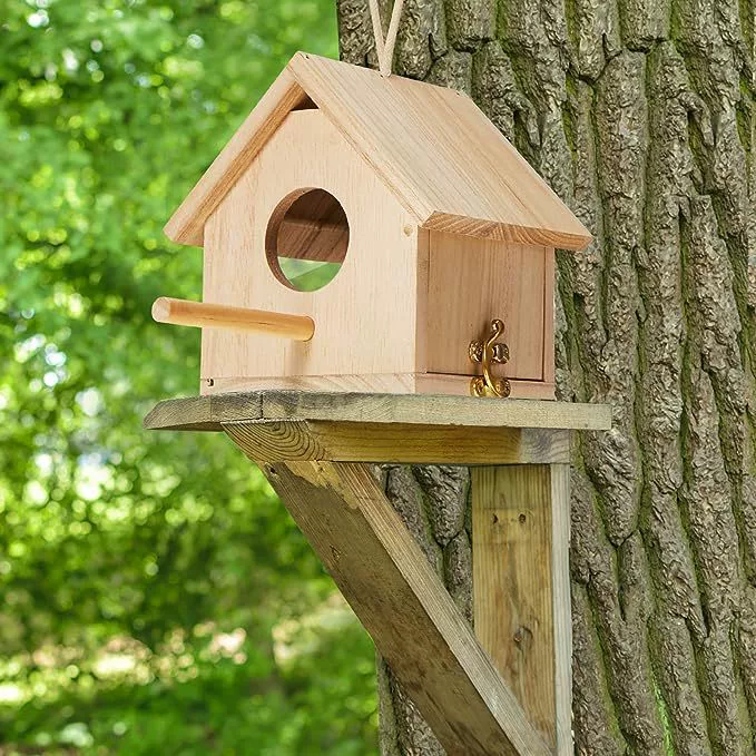 Деревянный птичий домик с шнурком рычаг замок синяя птица крыло зяблика дом попугай на открытом воздухе прозрачный открытый птичий домик декоративный висящий птичий домик