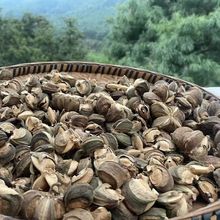 �F��ɽ؛�����ٹ������v�� �e����������