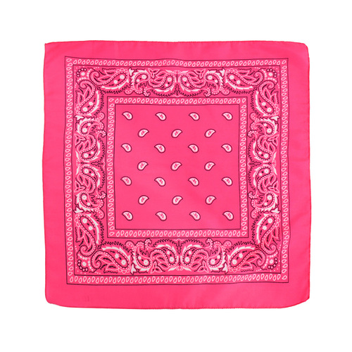 Amazon Polyester Cashew Flower Hip Hop Street Dance Head Scarf European and American Hiphop West Coast Outdoor Multi-purpose Scarf Wholesale 