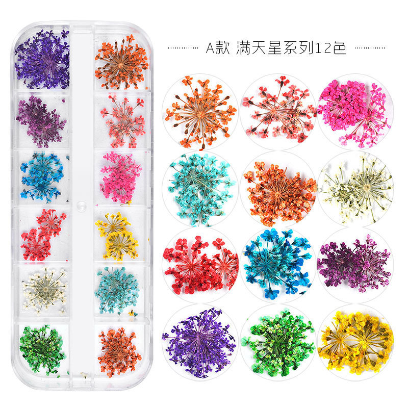 New Japanese-Style Nail Art with Dried Flowers, Baby's Breath, Sunflowers, and Small Daisies Mixed for Decoration