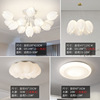 Creative ceiling light for living room, ceiling lamp for bedroom, french style, internet celebrity, light luxury style