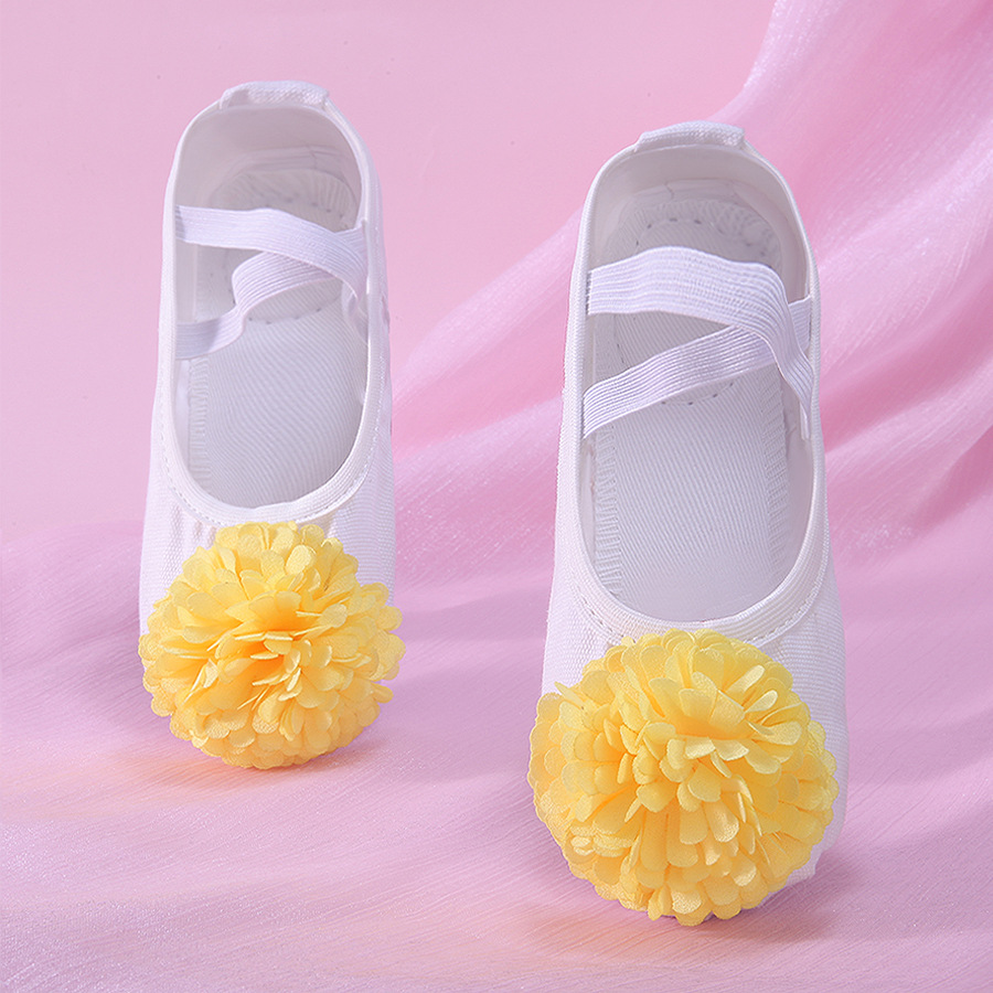 White Flower Kidsren's Dance Shoes Soft Sole Pink Girls' Body Examination Practice Special Cat Claw Shoes Ballet