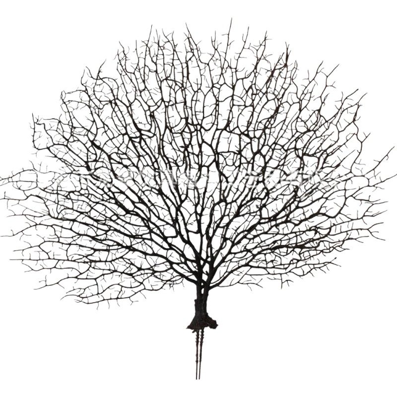 Pavo real rama Rama de coral flor artificial mar artificial Rama de hierro flor artificial boda flor artificial estudio fotografía decoración rama muerta