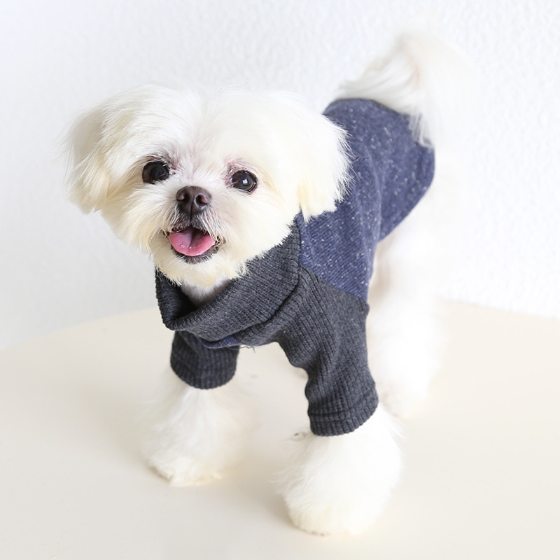 Petstyle 小高领满天星毛衣 2025秋冬新款 狗猫咪服装宠物狗衣服|undefined