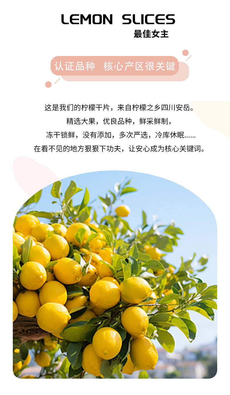 Freeze Dried Lemon Slices Ning Meng Pian 500g Bulk Fruit Tea Sugar Free Herbal Wellness Tea quality and texture